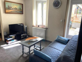 Charmant T2 rénové avec cour privée - centre d'Épinal, proche gare et commodités - FR-1-589-265